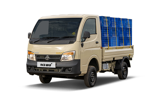 Ace-Gold-500X330.jpg 